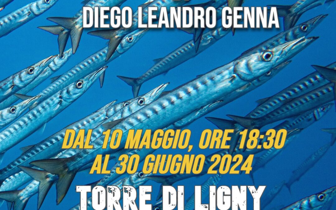 Natura Corta, scatti e storie: mostra a Torre di Ligny